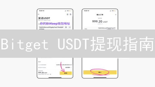 Bitget USDT提现指南：新手必看！快速安全提币技巧