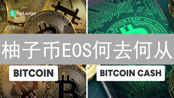 柚子币EOS何去何从？最新视频深度解读！